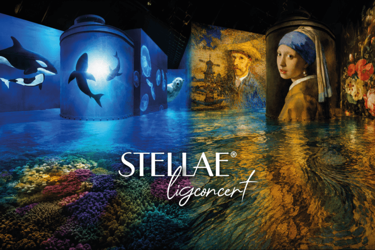 ligconcert einaudi