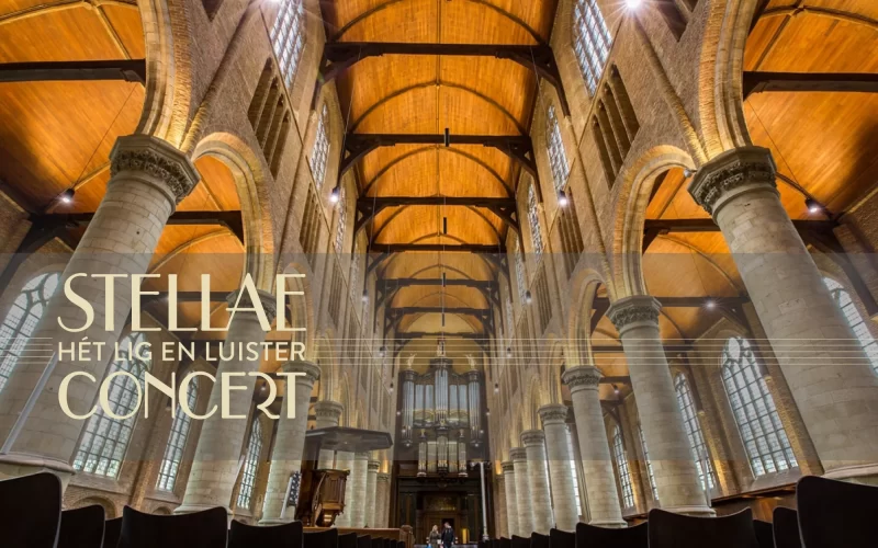 Ligconcert Nieuwe Kerk Delft